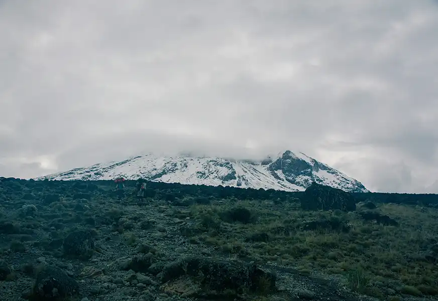 Wild Trackers Adventures