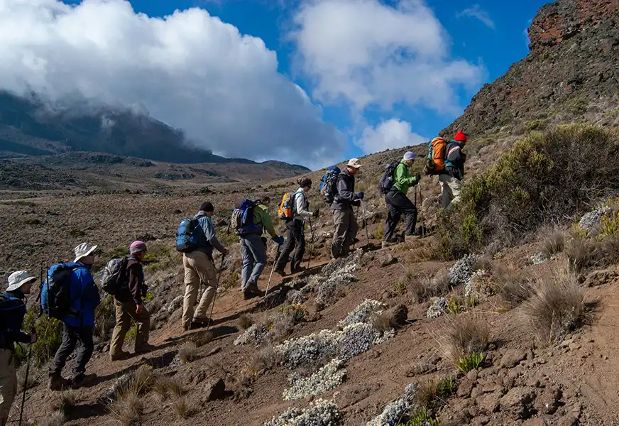 Wild Trackers Adventures